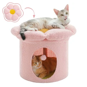 Large Cat House