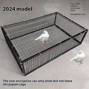 Outdoor Household Roof Only-in-no-out Pigoen Cage