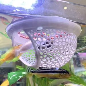 2pcs White Floating Betta Fish Hammock Bed,Beta Hide Cave And Resting Spot,Fish Tank Accessories Decor Toy,Betta Fish Feeding Ring For Aquarium,Shrimp Betta Log Bed-1pcs Big And 1pcs Small